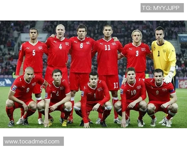 乔治罗尼亚对阵什球队的精彩对决分析与赛前预测